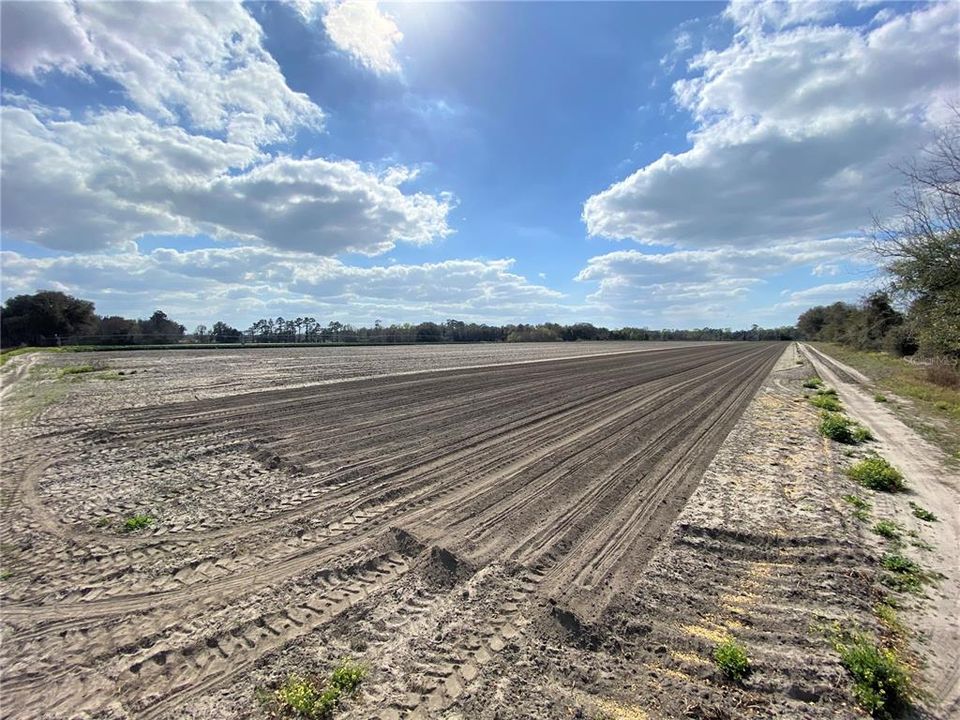 En Venta: $599,900 (38.70 acres)