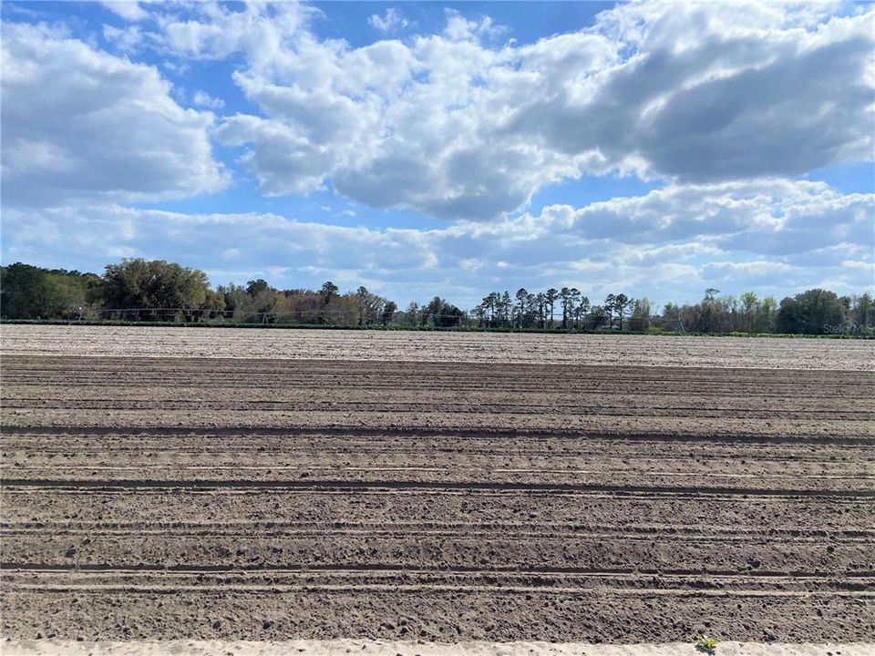 En Venta: $599,900 (38.70 acres)
