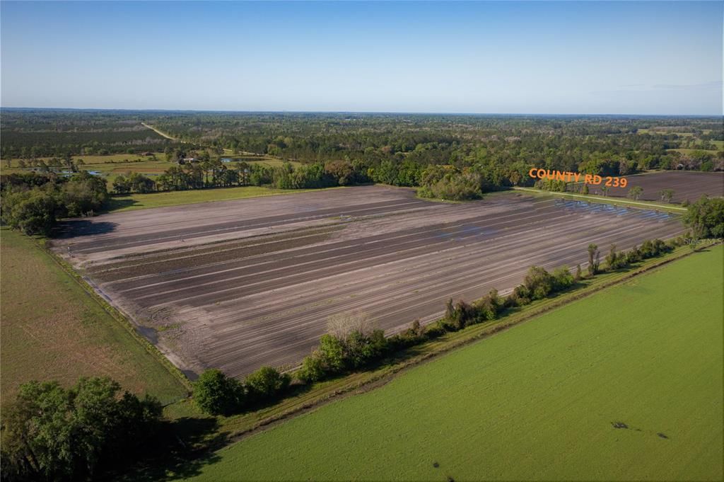 En Venta: $599,900 (38.70 acres)