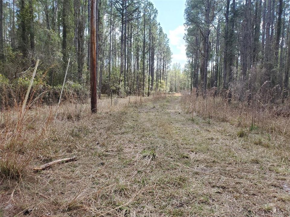Inside the property. fence on left. Looking down drive to dirt road entrance.