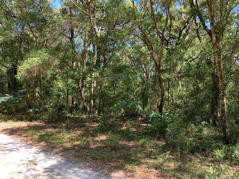 Recently Sold: $15,000 (0.46 acres)