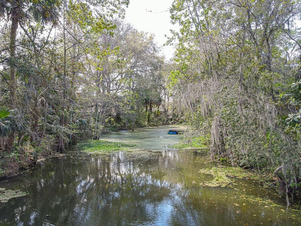 Canal Leading to Withlacoochee River