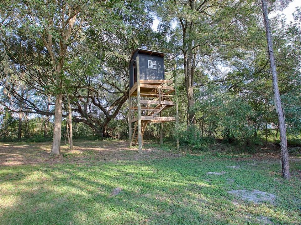 THERE'S EVEN AN ADORABLE TREEHOUSE! ZIP LINE TOO!