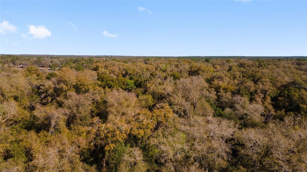 Recently Sold: $150,000 (10.18 acres)