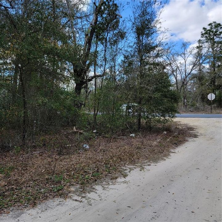 Recently Sold: $12,500 (1.25 acres)
