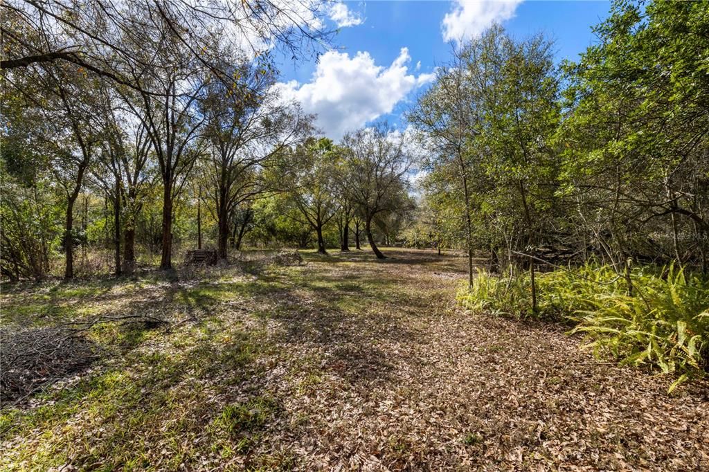 Recently Sold: $280,000 (5.00 acres)