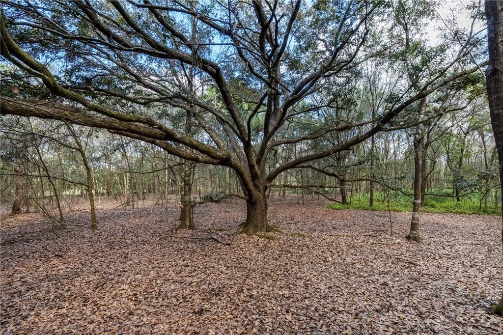 Недавно продано: $280,000 (5.00 acres)