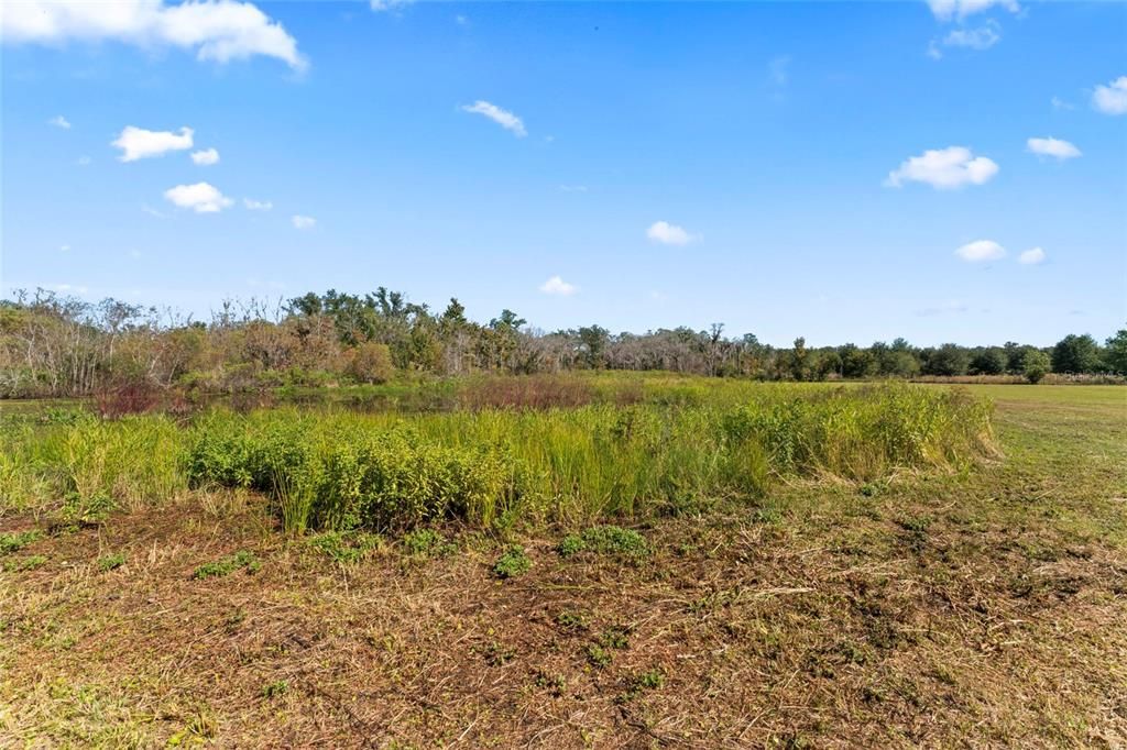 For Sale: $1,785,000 (4.85 acres)