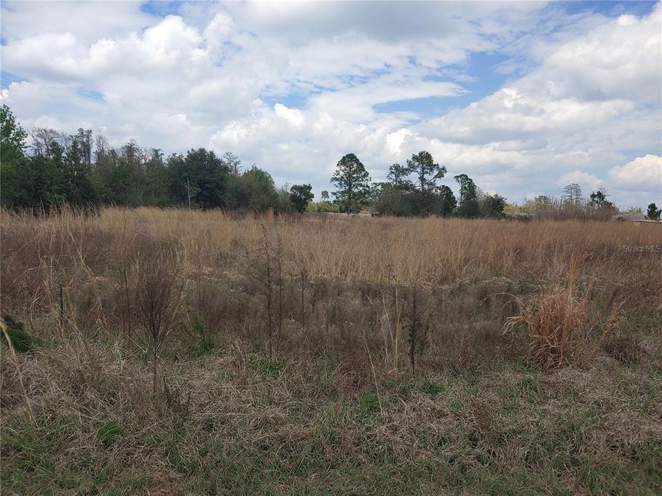 Recently Sold: $59,500 (0.38 acres)