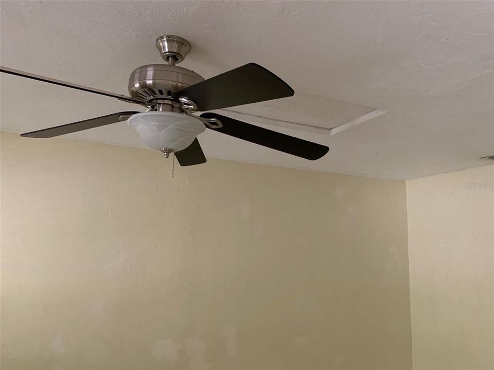 Living room fan