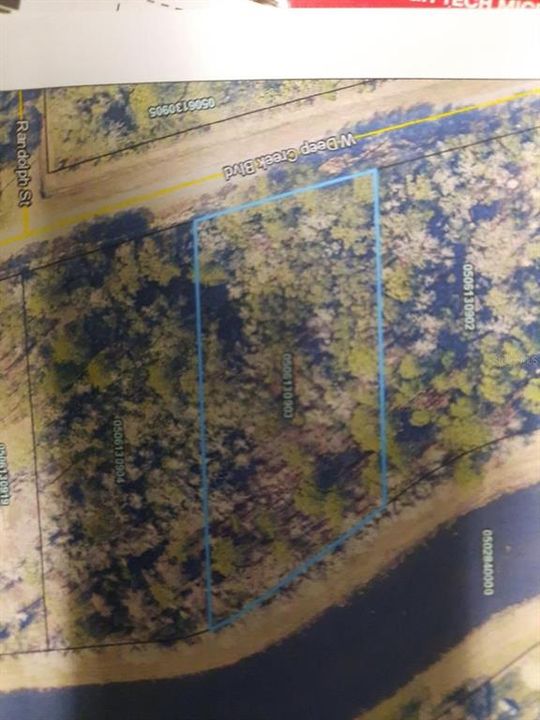 WOODED LOT