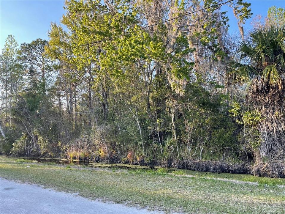 Recently Sold: $15,000 (0.25 acres)