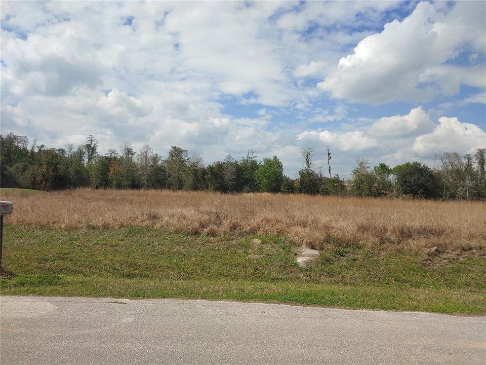 Recently Sold: $56,000 (0.21 acres)