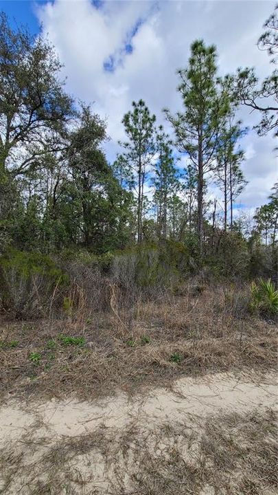 Recently Sold: $5,000 (0.24 acres)