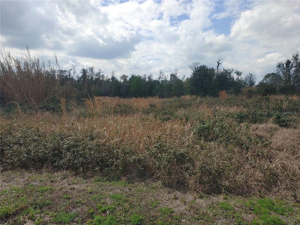 Recently Sold: $59,500 (0.37 acres)