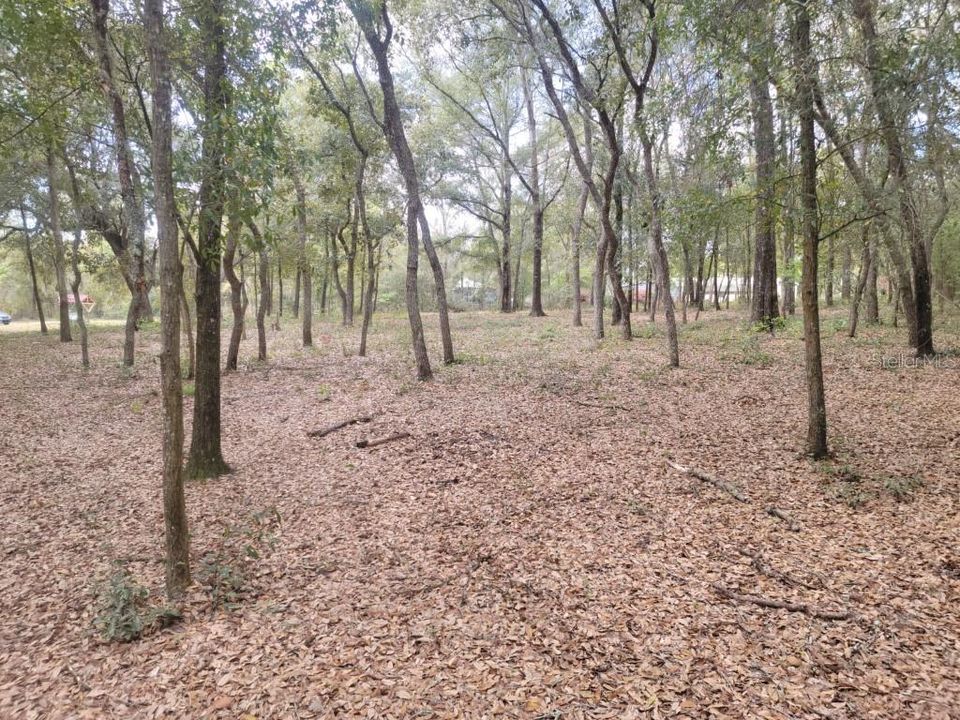Recently Sold: $18,000 (0.62 acres)