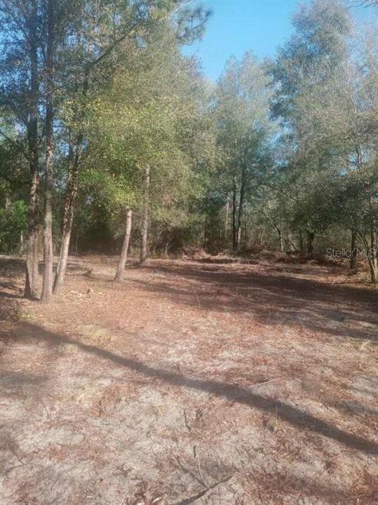 Recently Sold: $13,500 (0.44 acres)