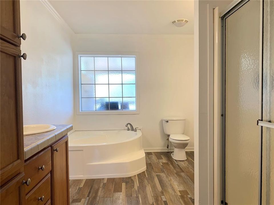 master bath with separate sinks, walk in shower and garden tub
