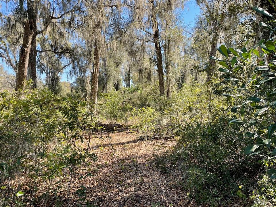Recently Sold: $34,900 (0.54 acres)