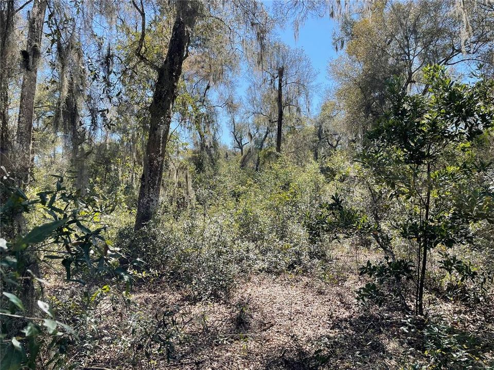 Recently Sold: $34,900 (0.54 acres)