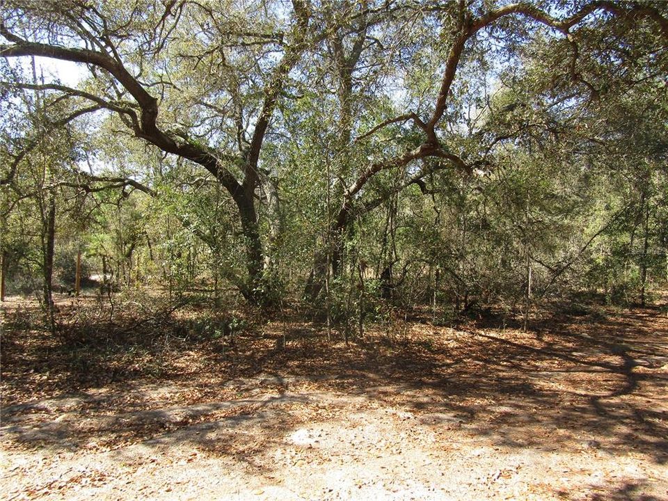 Recently Sold: $18,900 (1.29 acres)