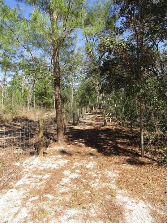 Recently Sold: $18,900 (1.29 acres)