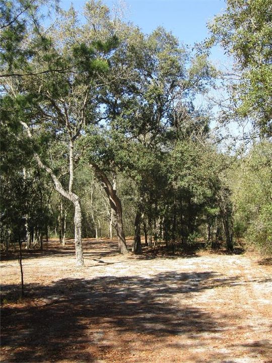 Recently Sold: $18,900 (1.29 acres)