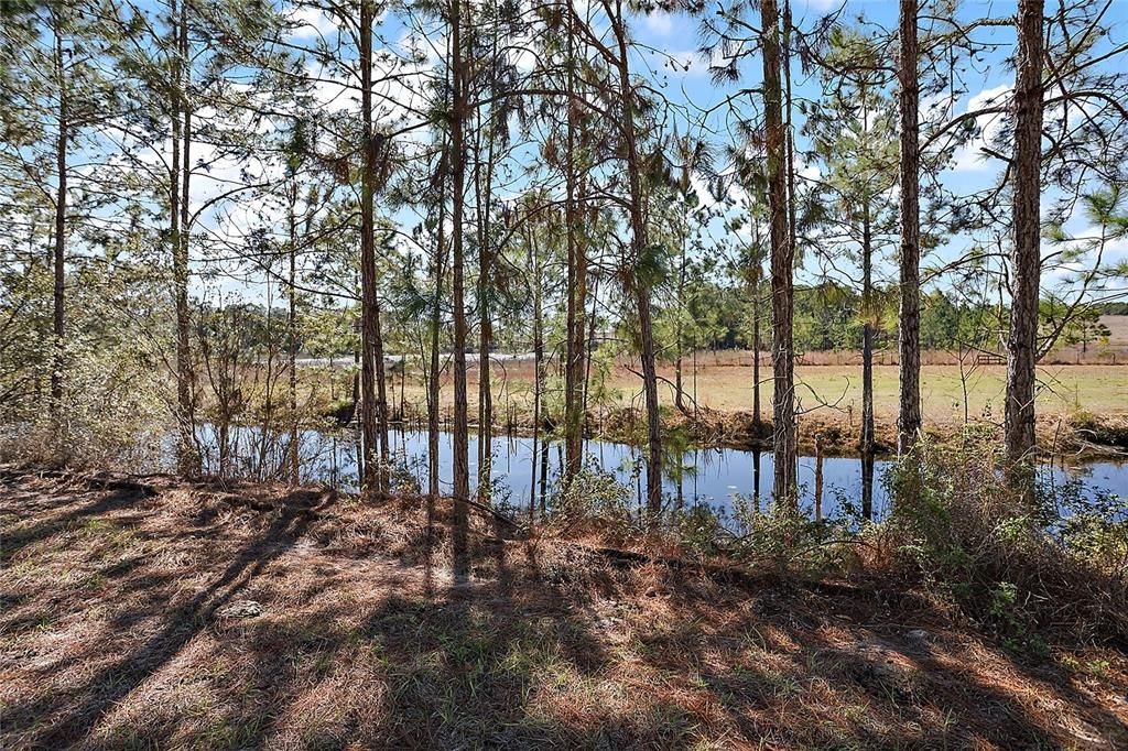 Property view from the northwest of the lot facing the pond