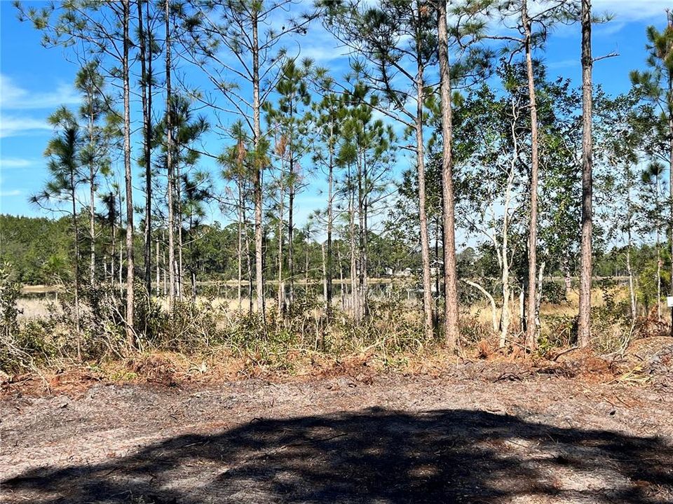 Vendido Recientemente: $235,000 (12.30 acres)