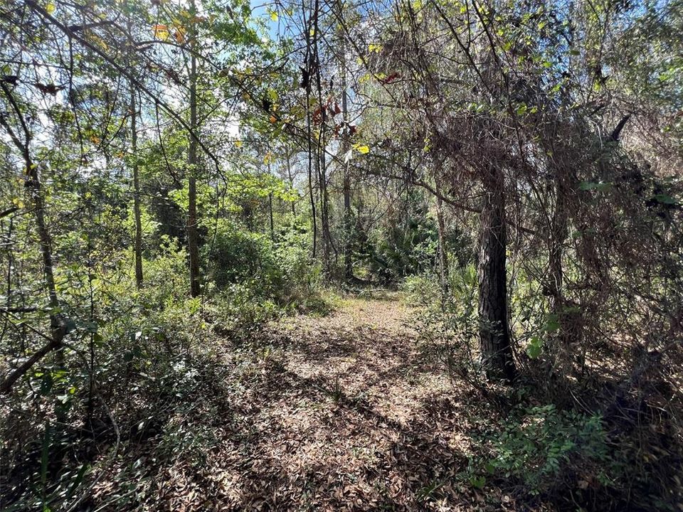 Recently Sold: $89,000 (13.14 acres)