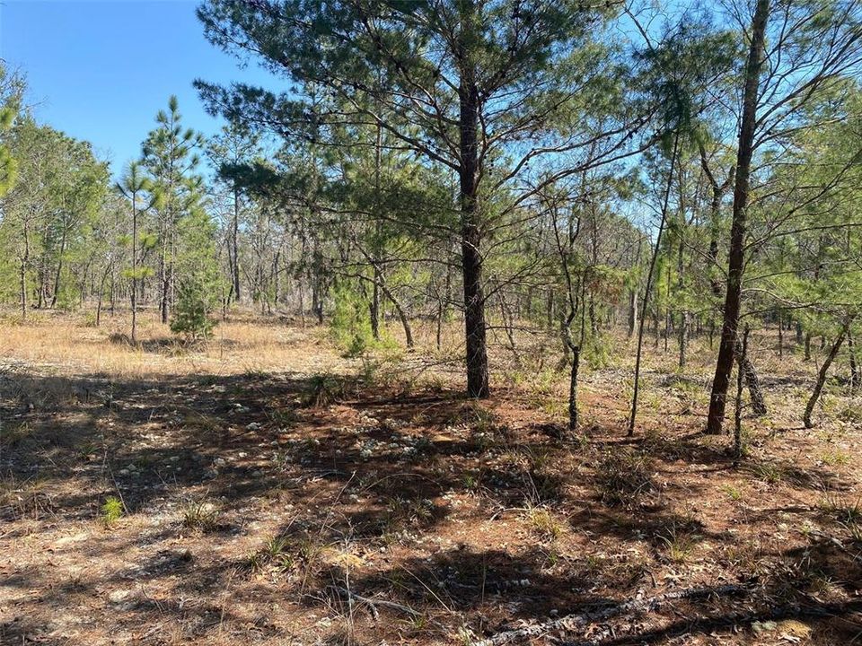 Recently Sold: $58,900 (5.00 acres)