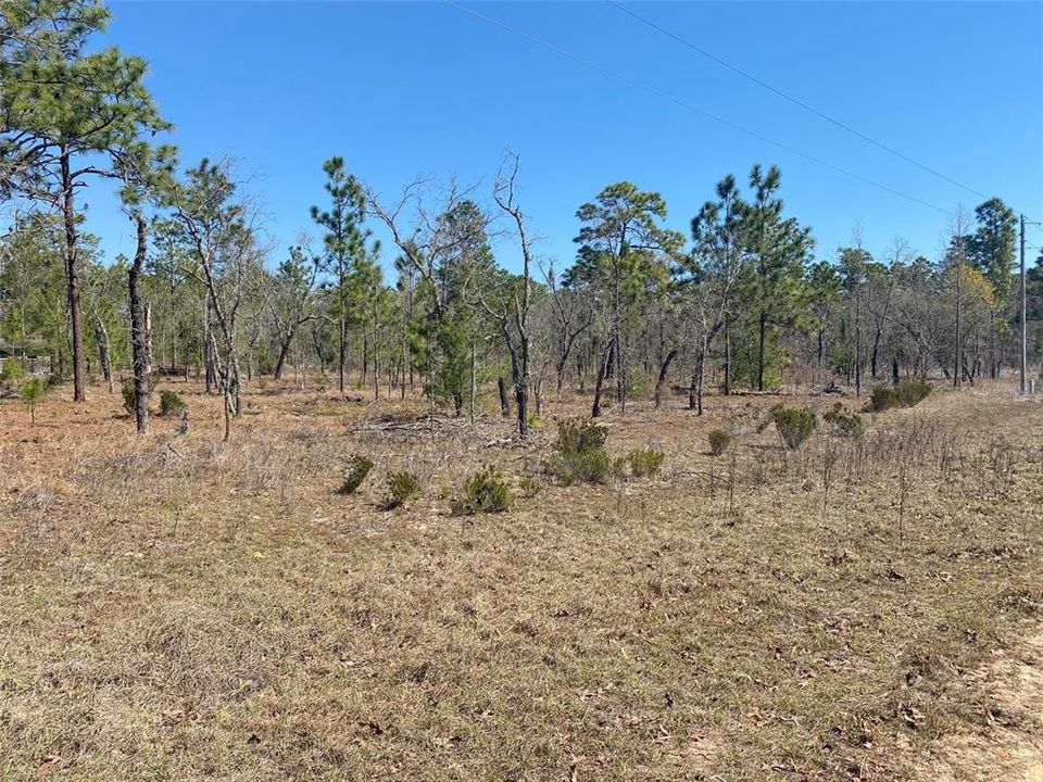 Recently Sold: $58,900 (5.00 acres)