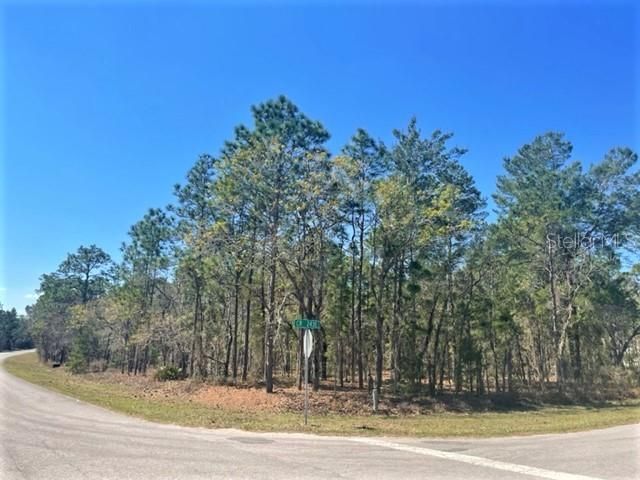 Recently Sold: $75,000 (1.33 acres)