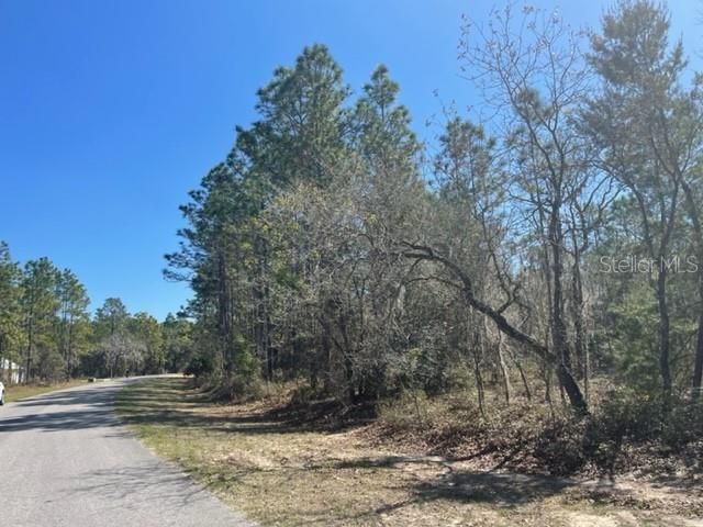 Recently Sold: $70,000 (1.34 acres)