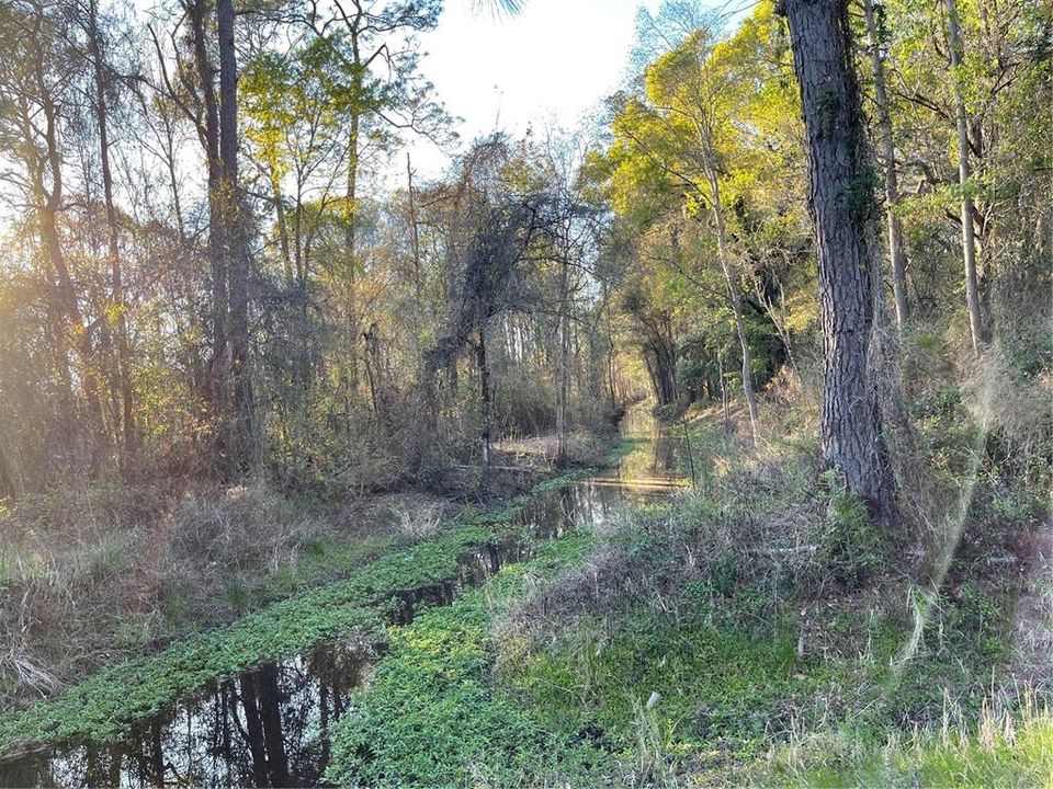 Recently Sold: $74,900 (13.50 acres)