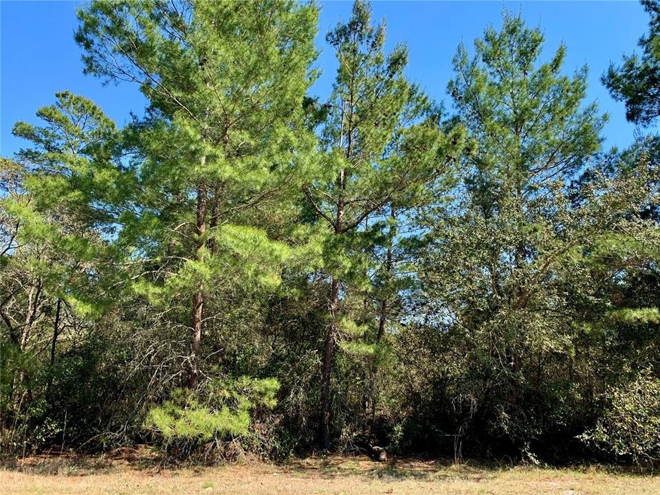 Recently Sold: $59,000 (1.08 acres)