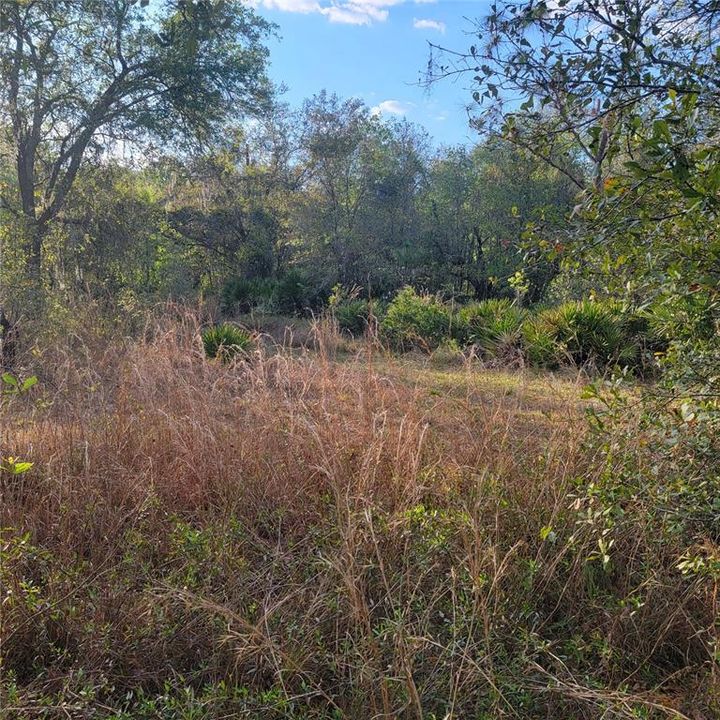 Vendido Recientemente: $59,000 (0.51 acres)