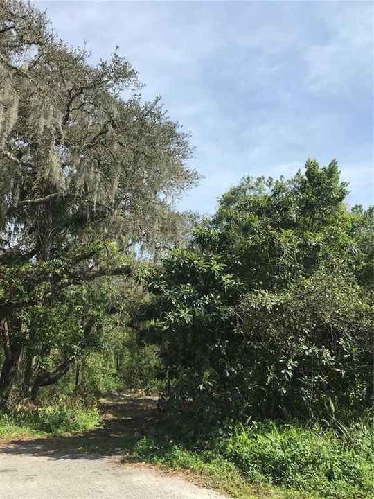 Recently Sold: $49,900 (0.14 acres)