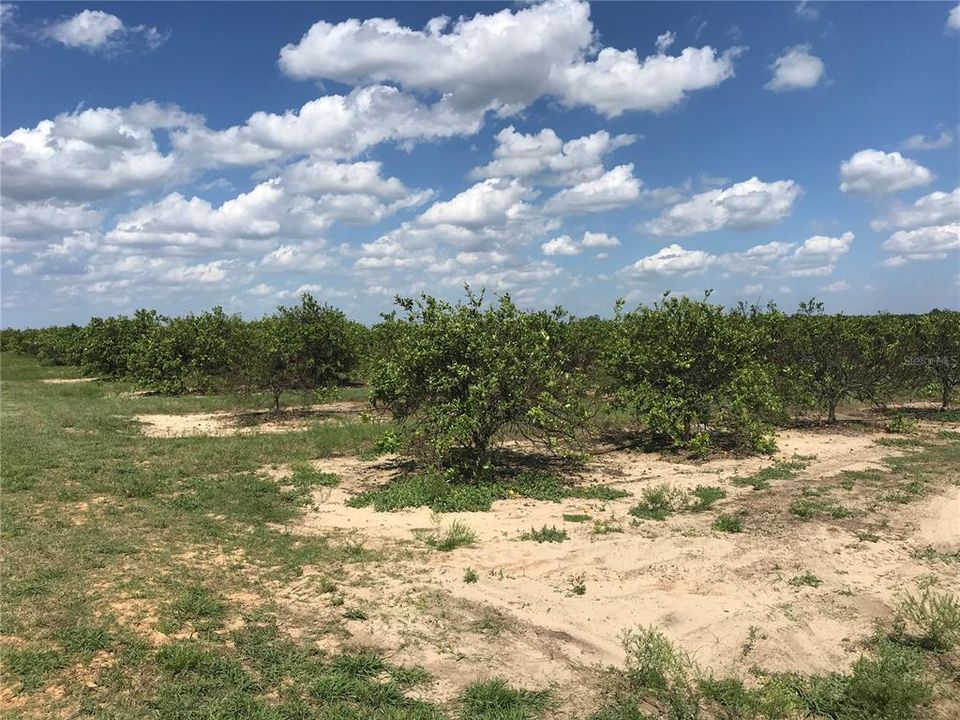 Recently Sold: $160,000 (9.70 acres)