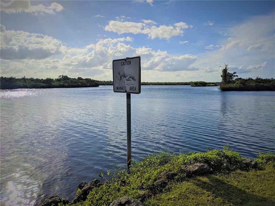 Nearby Peace River is well named for its tranquil Florida scenery.