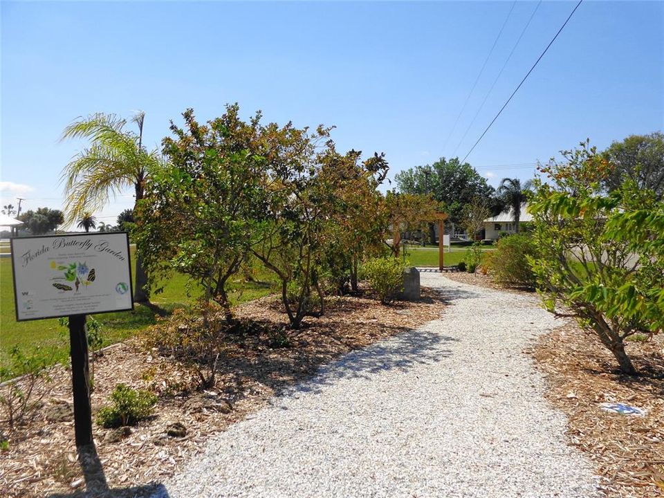 butterfly garden