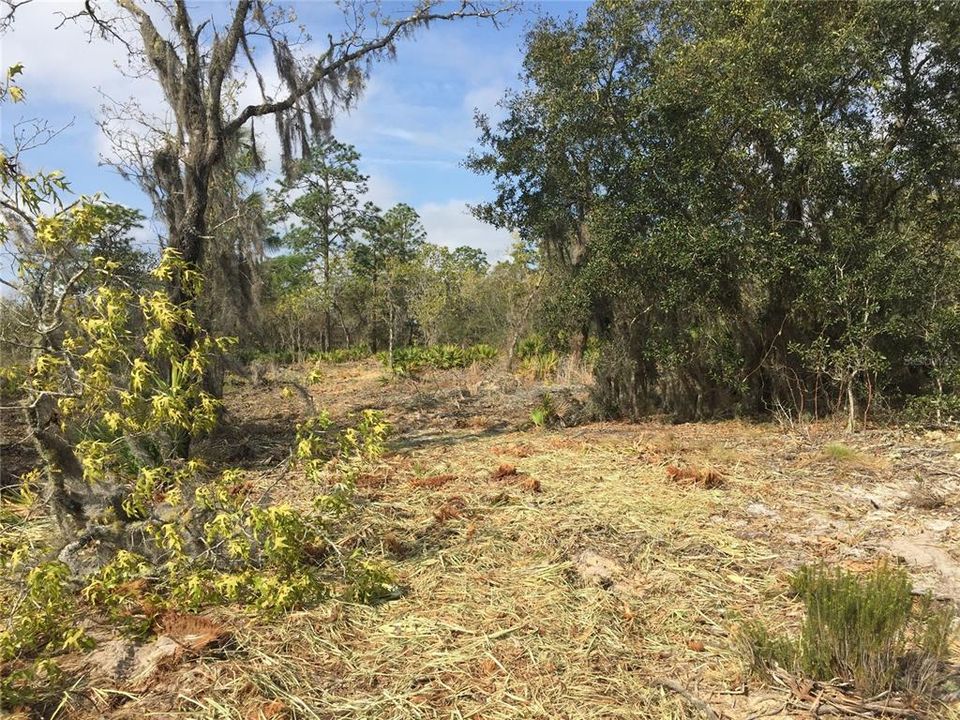 Recently Sold: $93,000 (9.34 acres)