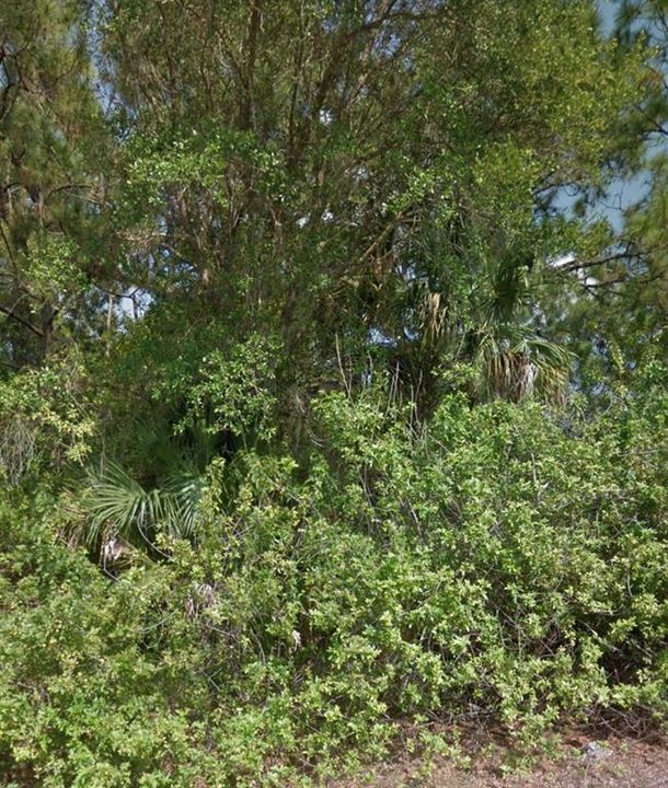 Vendido Recientemente: $30,000 (0.23 acres)