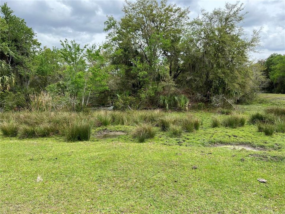 Vendido Recientemente: $7,500 (1.03 acres)