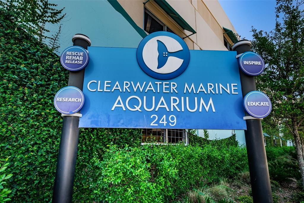 The Famous Clearwater Aquarium is also a 5-minute walk.