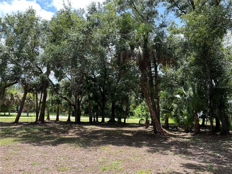 Recently Sold: $950,000 (7.00 acres)