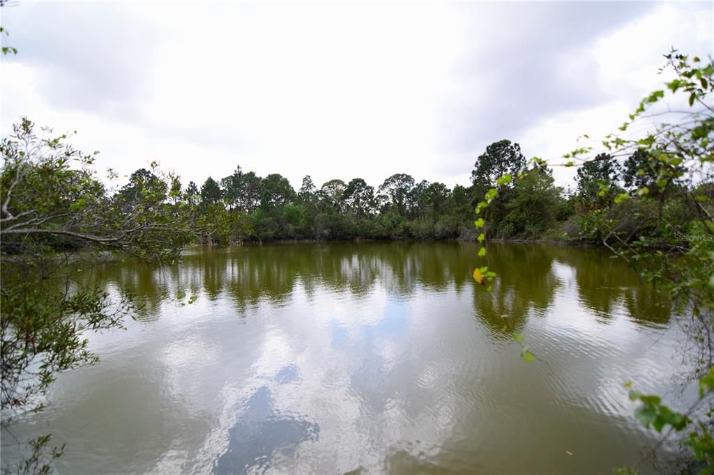 View of the lake