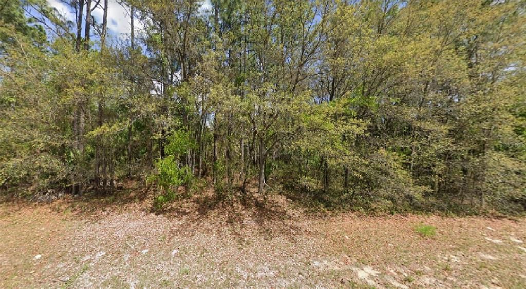 Recently Sold: $14,900 (0.32 acres)