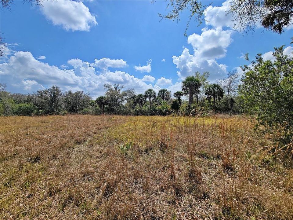 Recently Sold: $114,900 (1.01 acres)