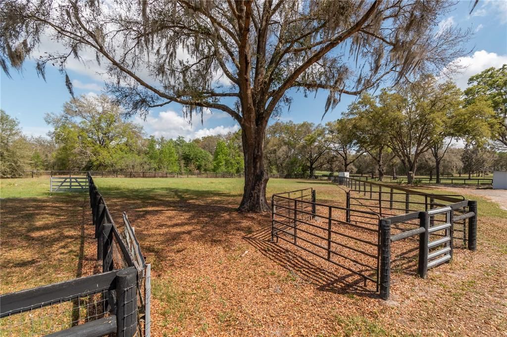 Vendido Recientemente: $449,500 (5 camas, 3 baños, 1932 Pies cuadrados)